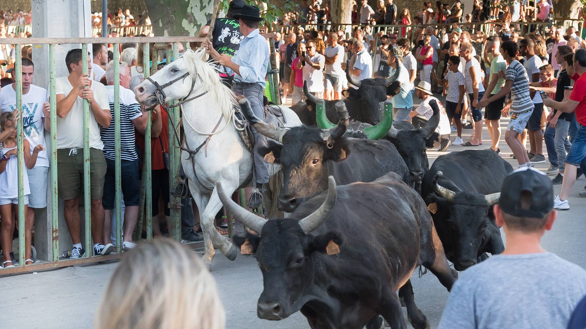Come on Irene; why SMSF trustees are turning bullish 