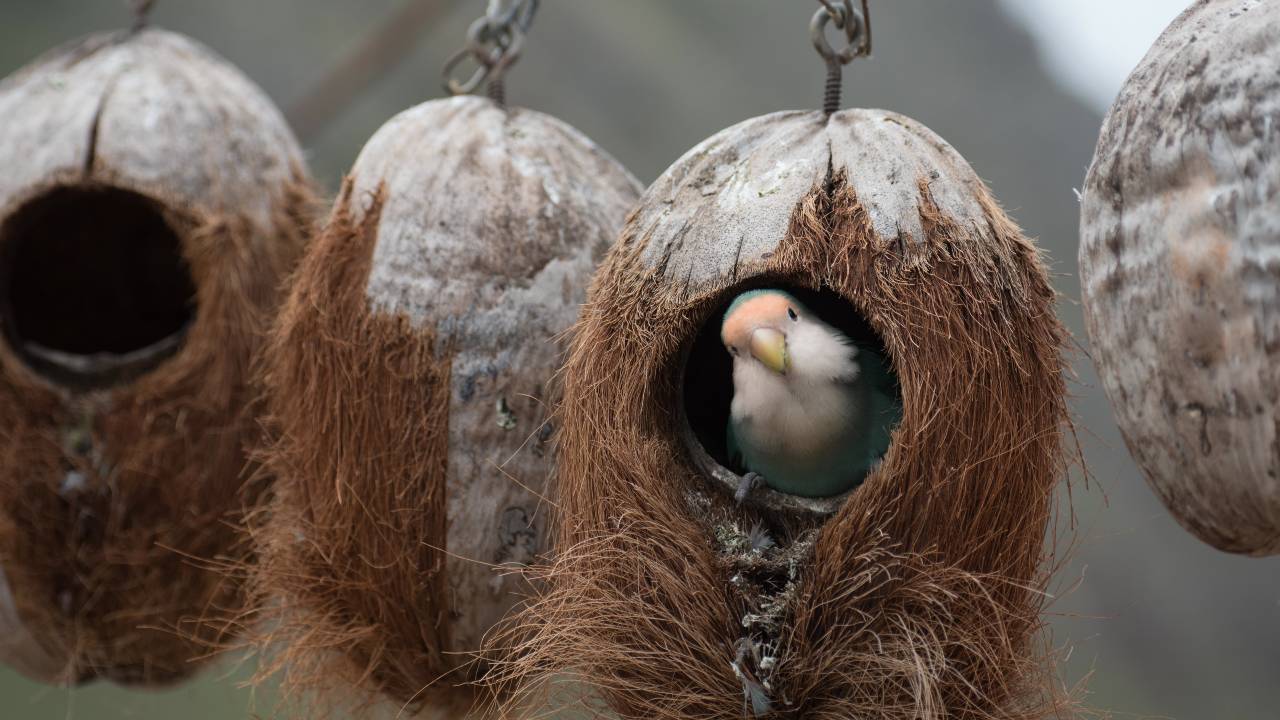 Building a bigger nest egg; superannuation's role in supporting macro-Australia