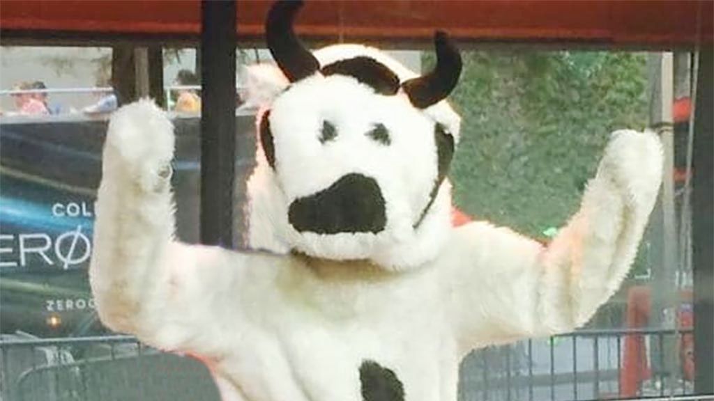 Reporting season has been a cash cow for SMSFs