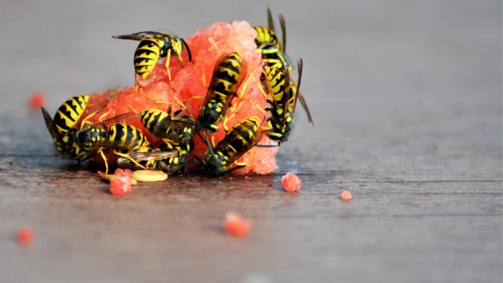 Getting SMSF savvy while industry funds eat each other