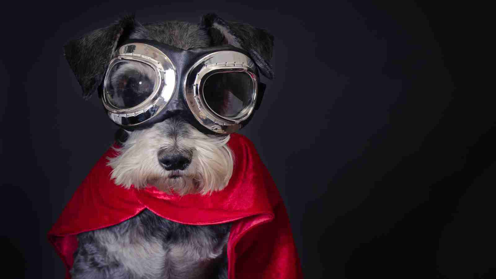 Super advice for self managed super funds