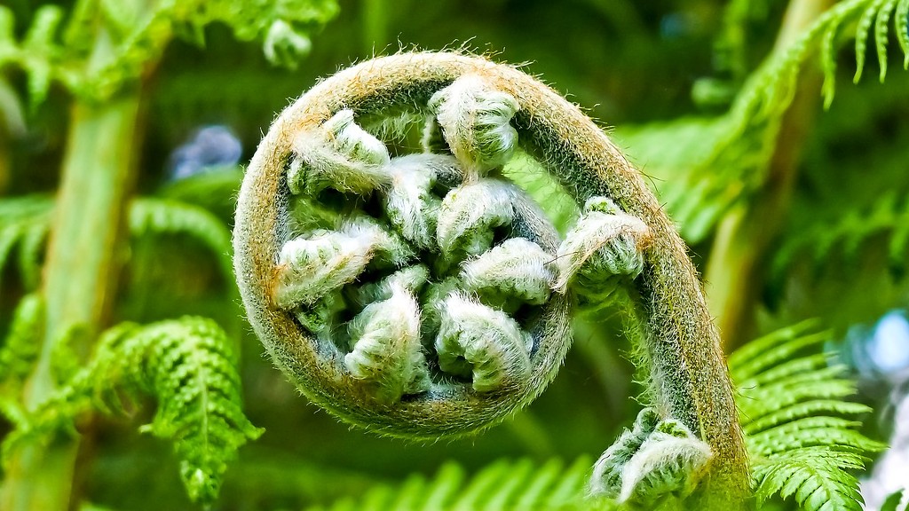 "The secret's out of the bag... sustainable investing is outperforming other mainstream investments"